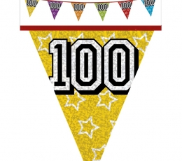 Vėliavėlių girlianda "100", įvairiaspalvė (8 m.)