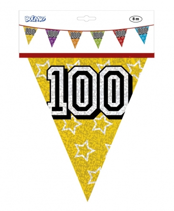 Vėliavėlių girlianda "100", įvairiaspalvė (8 m.)