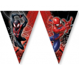 Vėliavėlių girlianda "Spiderman Web" (9 vėliavėlės)