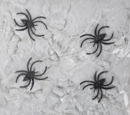 Voratinklis su voriukais, baltas (20 g)