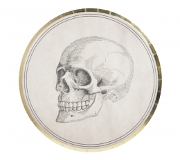 Taldrikud "Saladuste labor" (8 tk./ 22 cm)