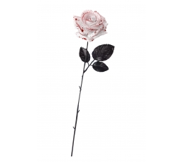 Asins roze (42 cm)