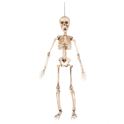 Dekorācija "Skelets" (50 cm)