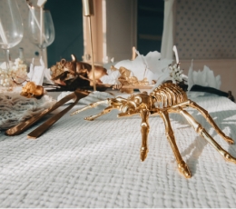 Dekoratīvais zirneklis - zelta (12,5x20,5 cm) 1