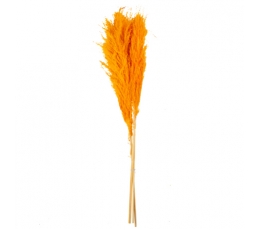 Dekoratīvās smilgas, oranžas (3 gab./80 cm) TIKAI AR VENIPAK!