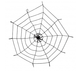 Zirnekļa tīkls ar zirnekli