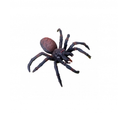 Zirneklis, elastīgs (14x11 cm)