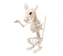 Žurkas skelets (18 cm)