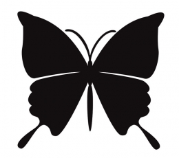 Бабочки, черные (20 шт. / M)