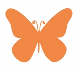 Бабочки, оранжевый (20 шт. / M)
