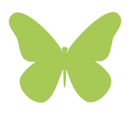 Бабочки, салатовый цвет (20 шт. / XС)