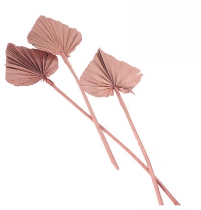 Декоративные пальмовые листья, розово-дымчатого цвета (10 шт./55 см)