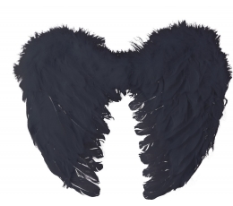 Крылья ангела, черный (40x32 см)