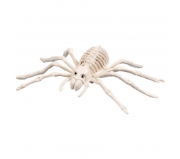 Скелет паука, белый (23 см)