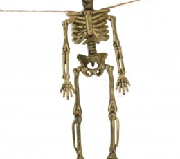 Girlianda "Skeletai" (80 cm) 1
