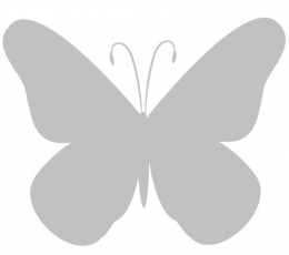Бабочки, серый цвет (20 шт. / M)