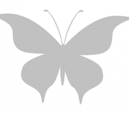 Бабочки, серые (20 шт. / С)