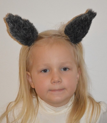 Rinkinys "Vilkas" / su segtukais