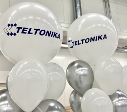 Personalizuoti lipdukai "Teltonika" 1