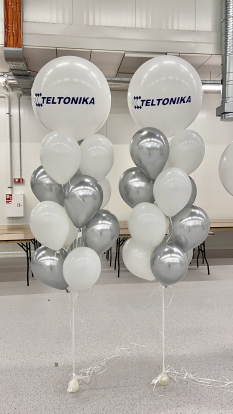 Personalizuoti lipdukai "Teltonika"