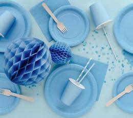 Puodeliai, melsvi (6 vnt./250 ml) 1