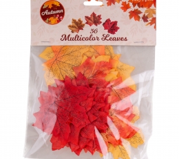 Rudeninių lapų rinkinys (36 vnt.) 1