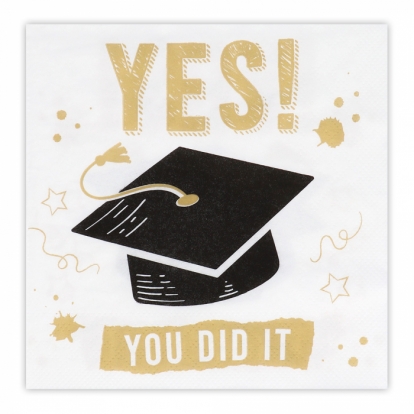 Servetėlės "Graduation. You did it!" (20 vnt.)