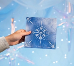 Servetėlės "Ledas" (20 vnt.) 1