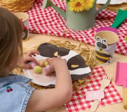 Servetėlės "Piknikas" (20 vnt.) 2