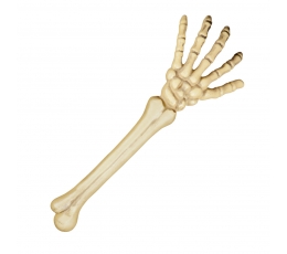 Skeleto ranka (46 cm)