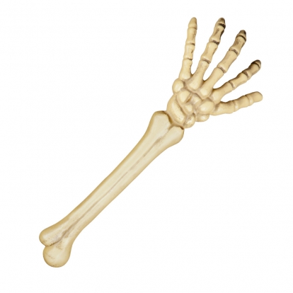 Skeleto ranka (46 cm)