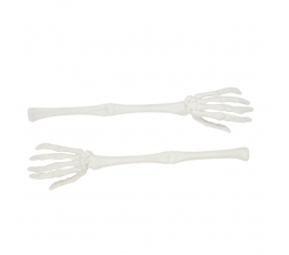 Skeleto rankos, baltos (2 vnt./32 cm)