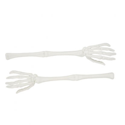 Skeleto rankos, baltos (2 vnt./32 cm)