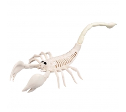 Skorpiono skeletas