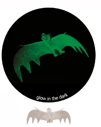 UV šviesoje šviečiantis šikšnosparnis