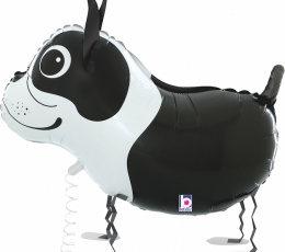 Vaikštantis balionas "Bostono terjeras" (48 cm) 1