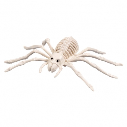 Voro skeletas, baltas (23 cm)