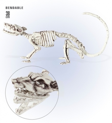 Žiurkės skeletas (38 cm)       