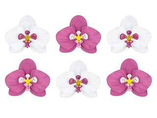 Dekoracijų rinkinys "Orchidėjos" (6 vnt.)